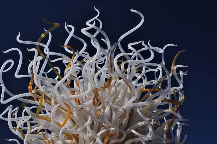 chilhuly glass sculpture